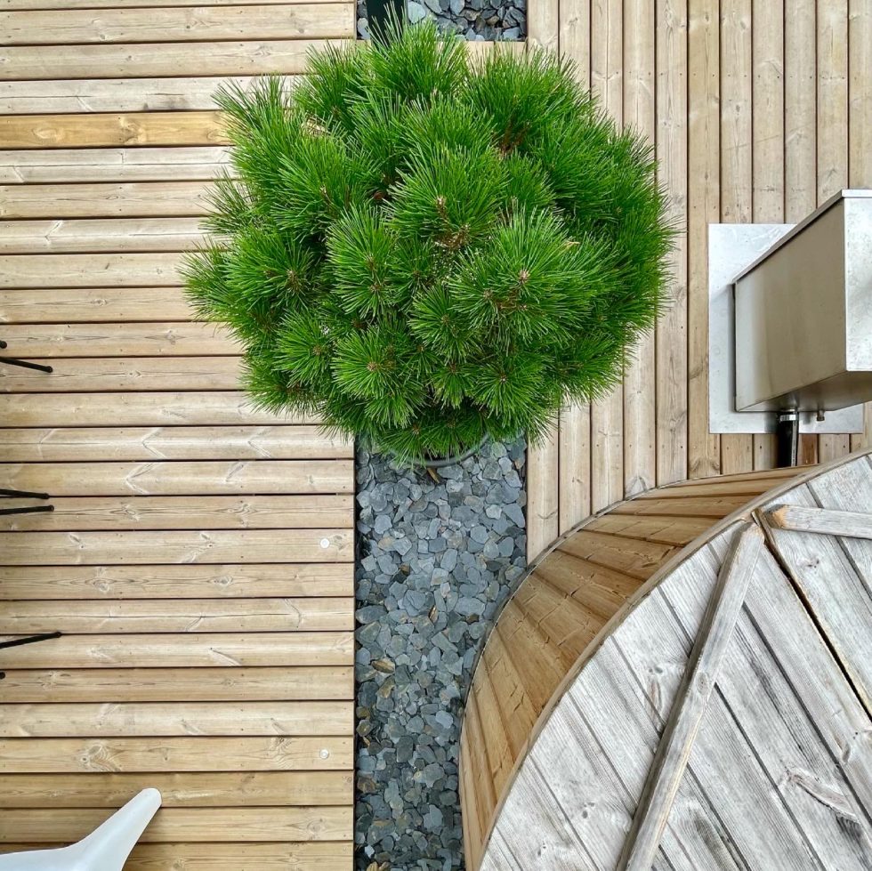 Bain nordique avec eau chauffée sur terrasse à Laon 02000